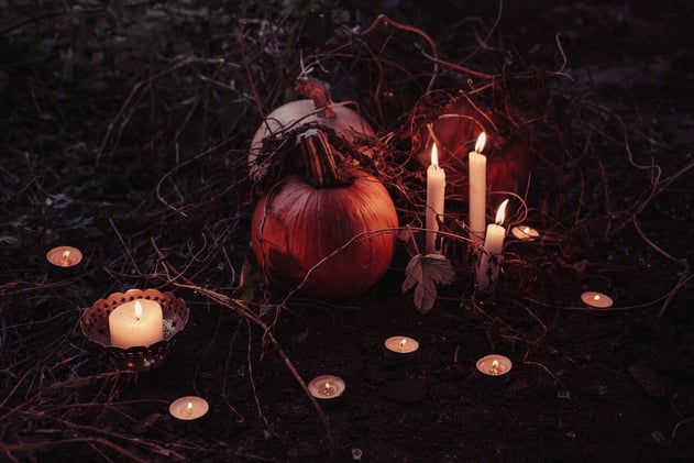 🎃 Navigating Offers and Negotiation Workshop 🎃