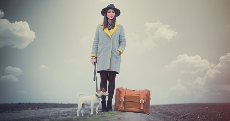 🌴 Veterinary Care + A Dash of Travel: Perfect Career Cocktail?