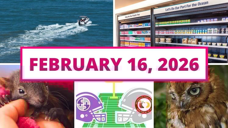 A historic plastic-free achievement, how Weymouth won the SOUPer Bowl & more!