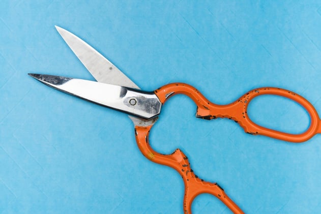 Biotech job cuts continue as three more companies slash workforces