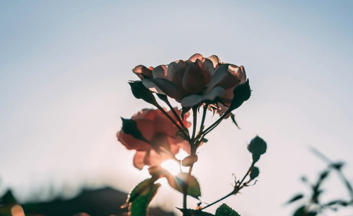 God’s Happiness in the Gospel