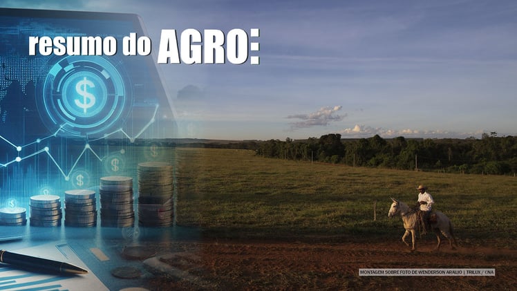 R$ 76 bi para agricultura familiar