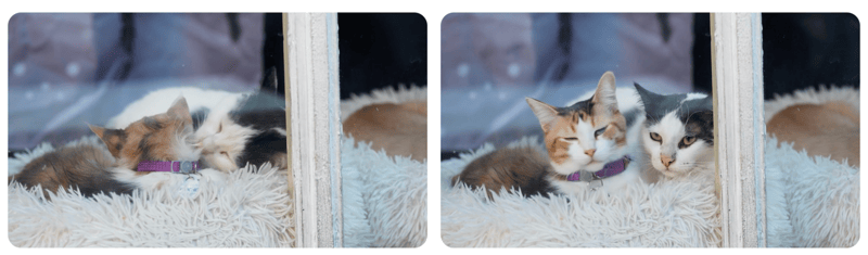 Innovation Profs - 1/27/2026