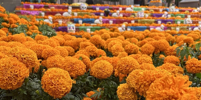 Why Mexico’s New Taxes Will Hit Hard