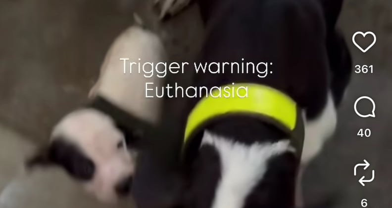 The Stories No One Wants to See (But Everyone Needs to Hear)