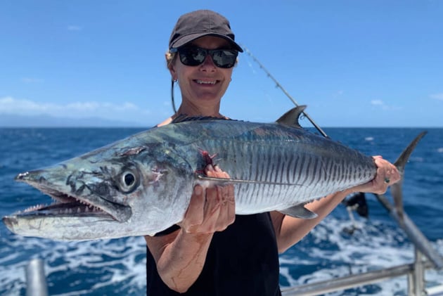 Newsport Alert Tuesday 27 January 2026