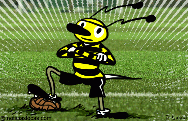 Científicos entrenan abejas para jugar al fútbol