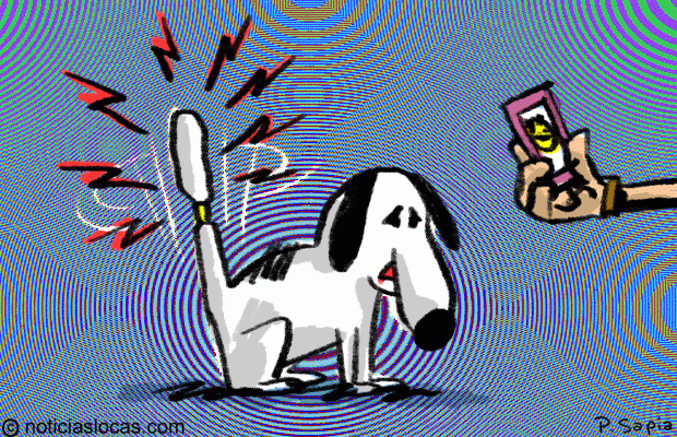 Crean un traductor de emociones para perros