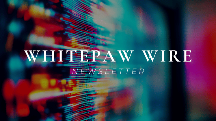 What Nielsen, Netflix, and Max Just Told Us About the Future