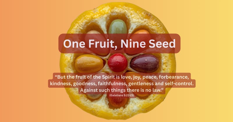 One Fruit, Nine Seed