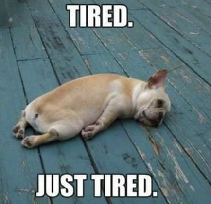 How to Study After School When You’re Tired - Energy Hacks and Study Tips