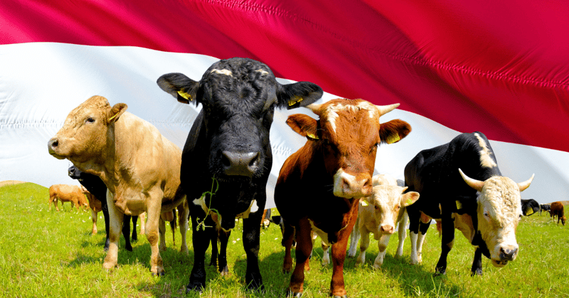 Indonesia Is Farming Big