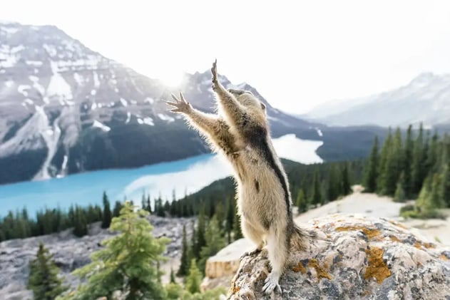 La mejores imágenes del concurso National Geographic Photo 2015