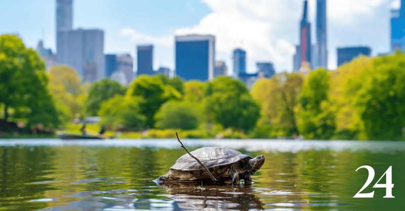 The Doorway Effect Is Wasting Your Time