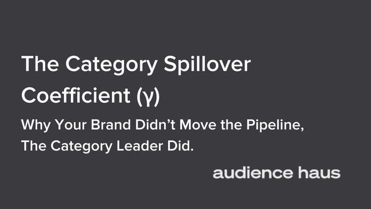 THE CATEGORY SPILLOVER COEFFICIENT (γ)