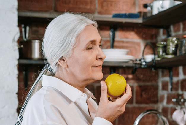 Sensory Systems - Olfactory System