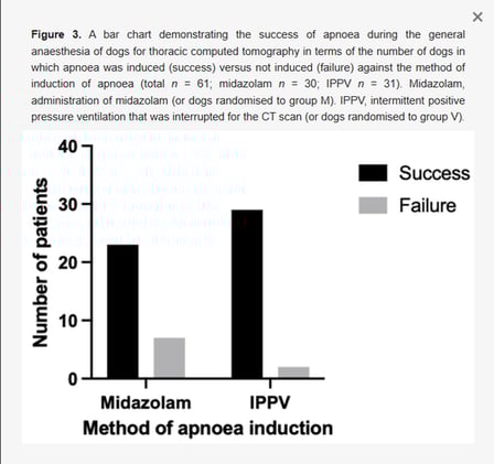 Ventilator Beats Midazolam: Safer, Faster Apnoea Induction in Canine CT
