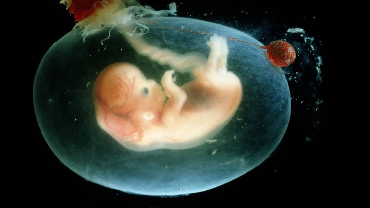 Scientists calculated the energy to carry a baby