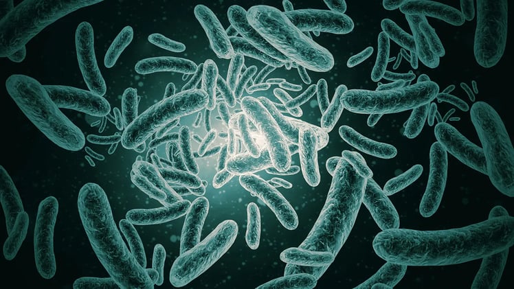 Microplastics and PFAS Combined Toxicity: Birmingham Study Reveals Synergistic Harm