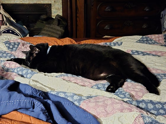 Crafting for Sinners by Jenny Kiefer 