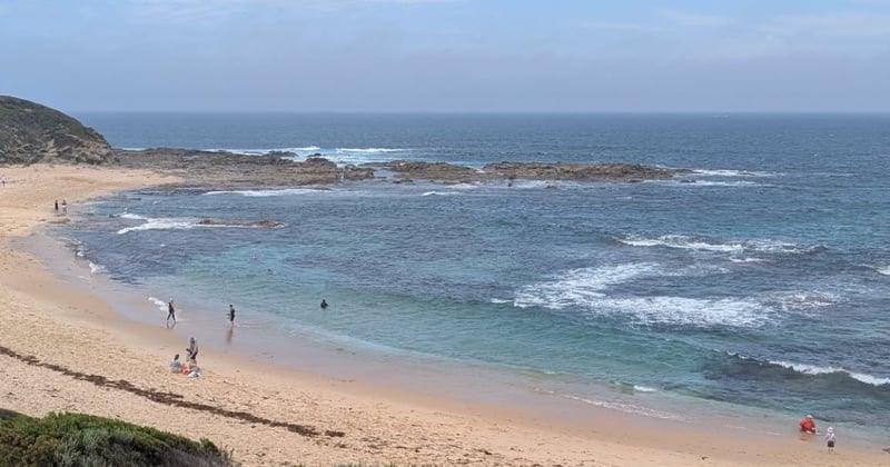 🦎 Where's my $6 million boardwalk?