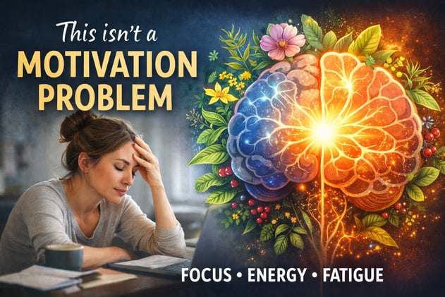 When your brain has energy, everything changes