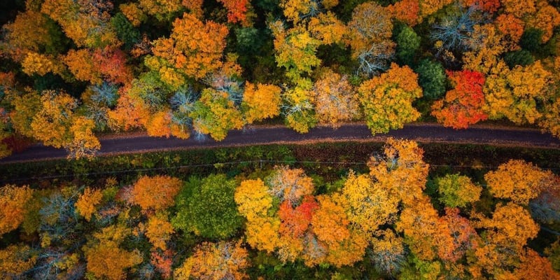 These 6 US Road Trips Are Some of the Most Beautiful You Can Take This Fall