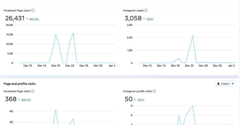 Elevate Your Digital Presence: Your Personal Social Media Maestro