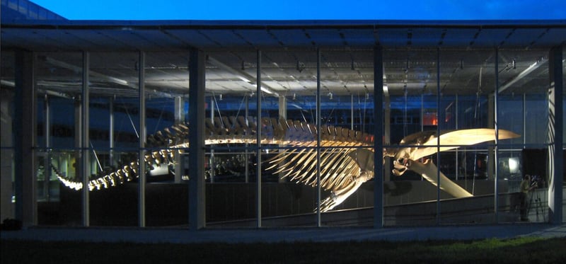 Spring Break and Kid Friendly Museums