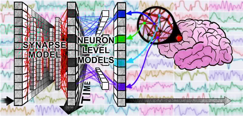 🧠 This AI thinks more like a brain