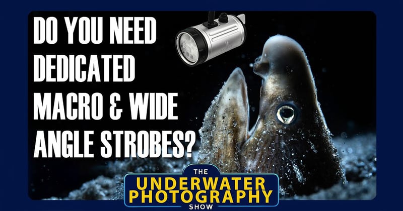 Dedicated Strobes For Macro And Wide Angle. Optimisation Or Unnecessary Expenditure?