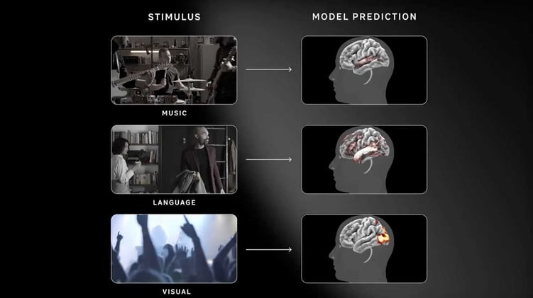 🧠 Meta's brain model beats real fMRI scans