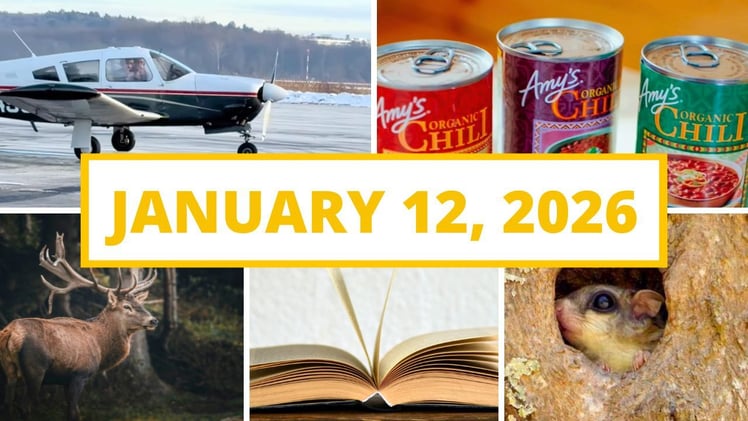 A local author event, a rare bird finds its way home, and more!