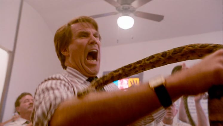 How to Survive a Snake Bite (Hint: Don’t Be an Idiot)