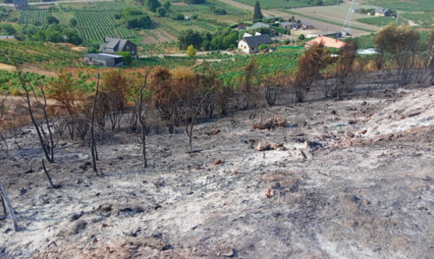Galicia: Unprecedented wildfires scorch more than 90k hectares // Napa County approves Schlatter family microwinery