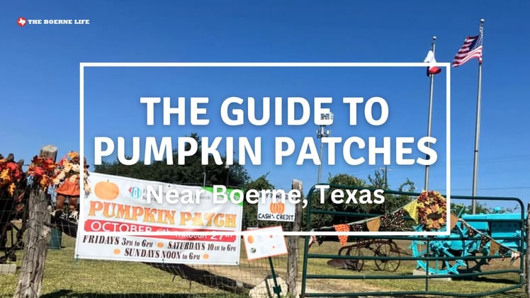 👉15 Pumpkin Patches + Learn to Play Pokémon