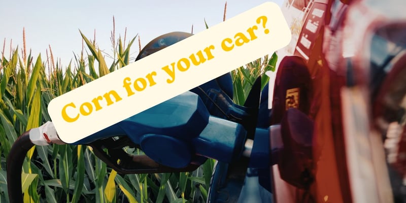 Everything To Know About E15 Fuel! 