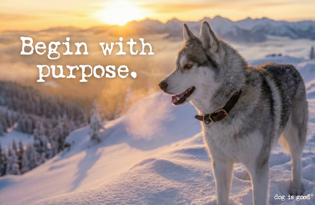 Begin with purpose.