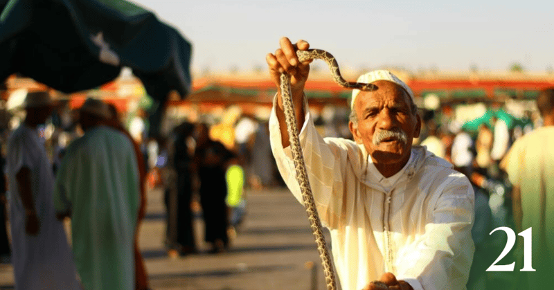 Why Are Immigrants More Creative?