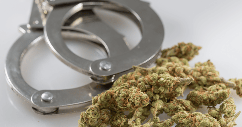 The Rush - April 11, 2024