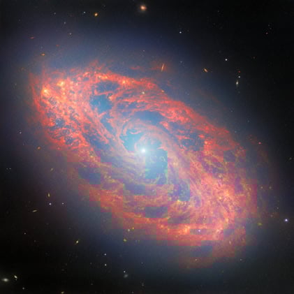 A galaxy aflame!