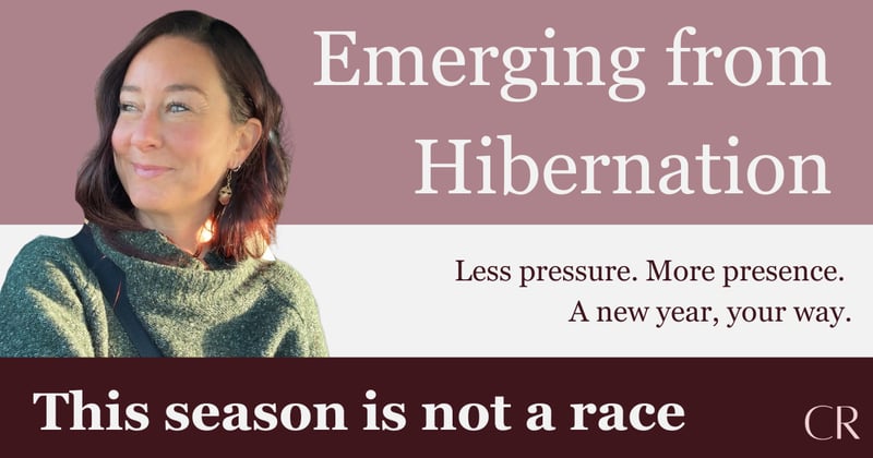 Coming Out of Hibernation (Or are you tempted to stay there?)