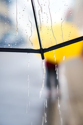 When It Rains, Keep Moving: A Lesson in Momentum