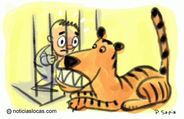 El zoo en el que los animales están libres y el público enjaulado