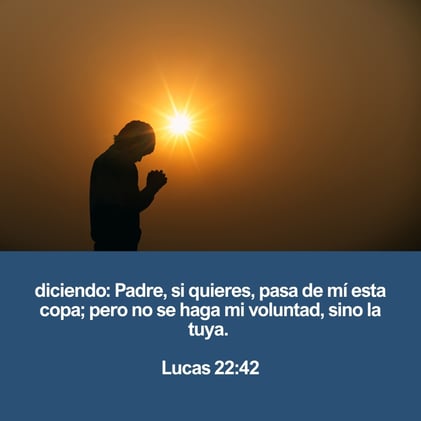 Cambia la Perspectiva