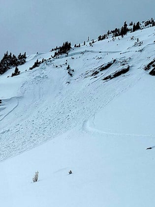 Storm Cycle Triggers Widespread Avalanches in Banff and Kananaskis