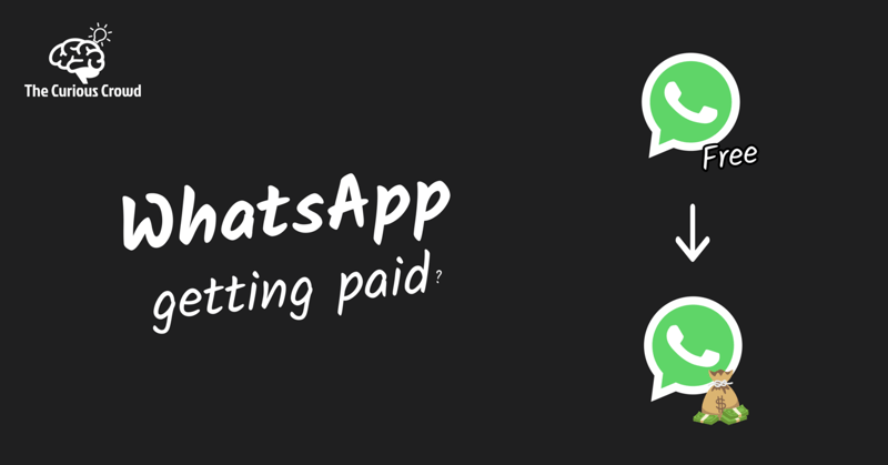 WhatsApp Getting Paid?