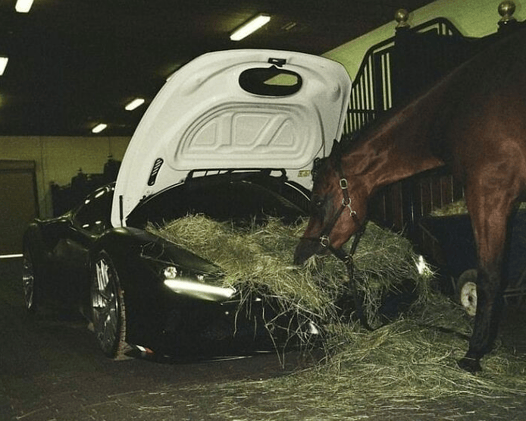 The Purpose of Retirement and How to Avoid “Abusing” Your Golden Years