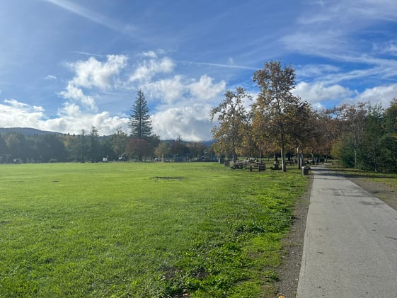 Tymewear data - Part II 