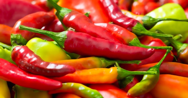 The Fiery Wonder: Cayenne Pepper